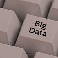 데이터베이스 분야